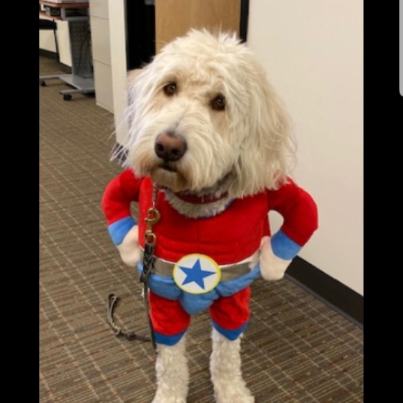 Meet your Posher, Robert - Picture 1 of 1